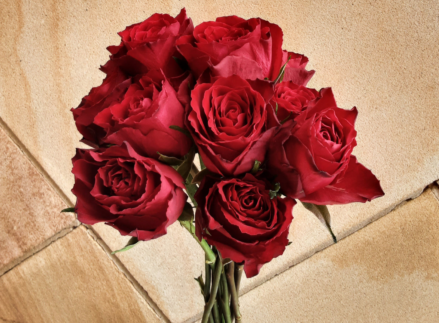 Roses